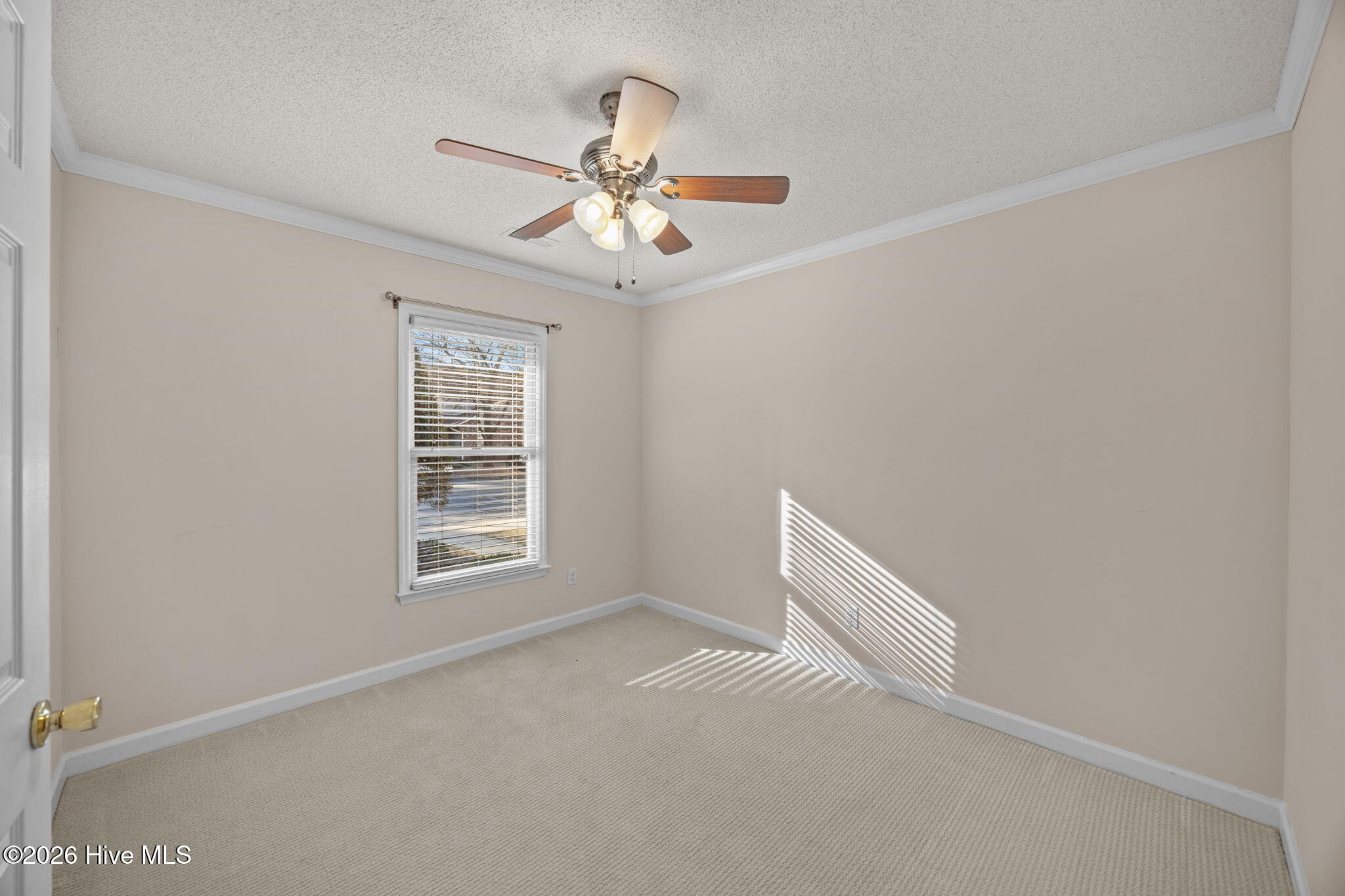 1983 Quail Ridge Road, Unit G Greenville, NC 27858 - Photo 24 of 35 29-web-or-mls-BLS_0054