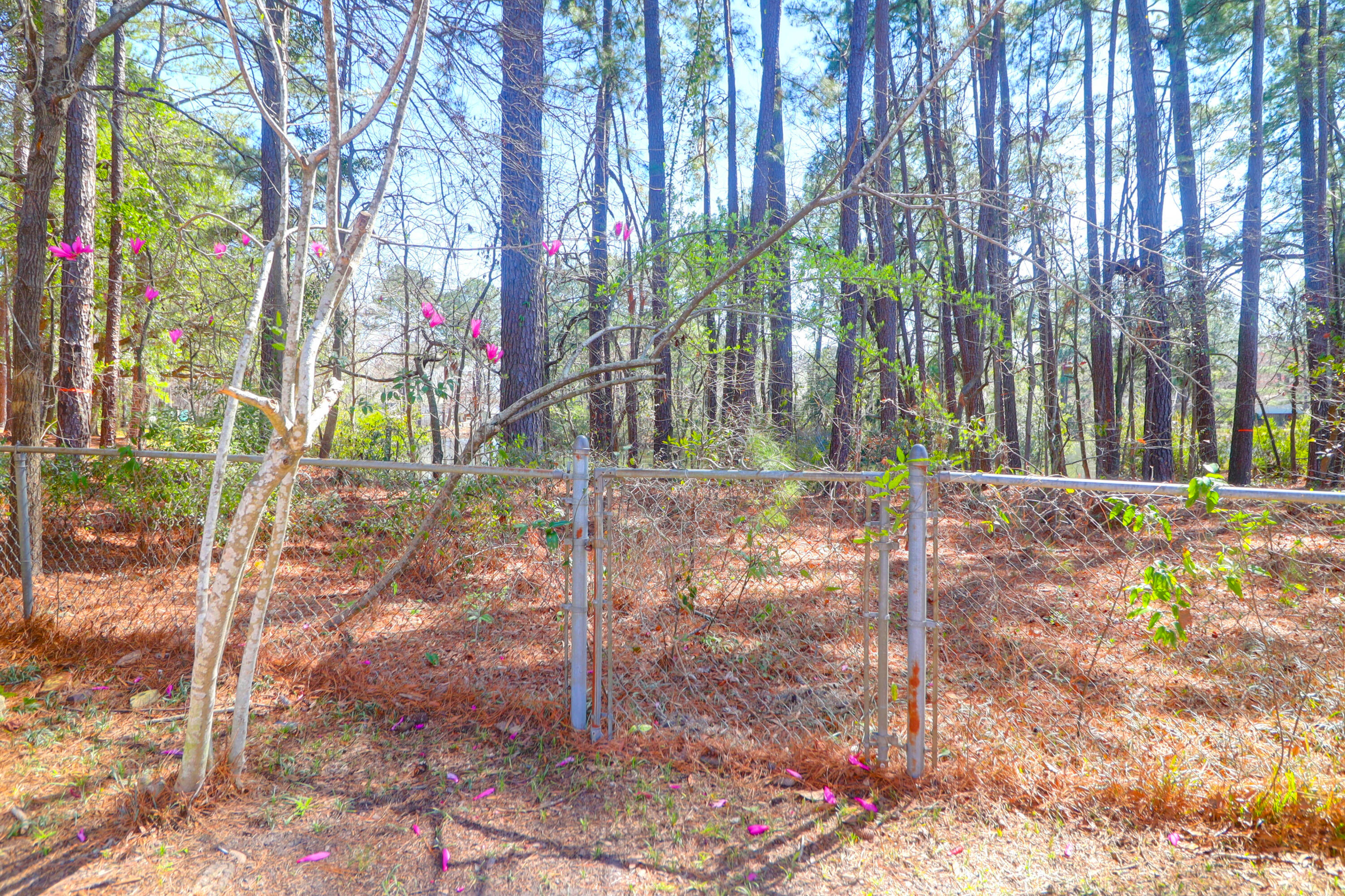 8340 Greenridge Road North Charleston, SC 29406 - Photo 52 of 58 8340 Greenridge Rd -Tidalcreekphoto- (52