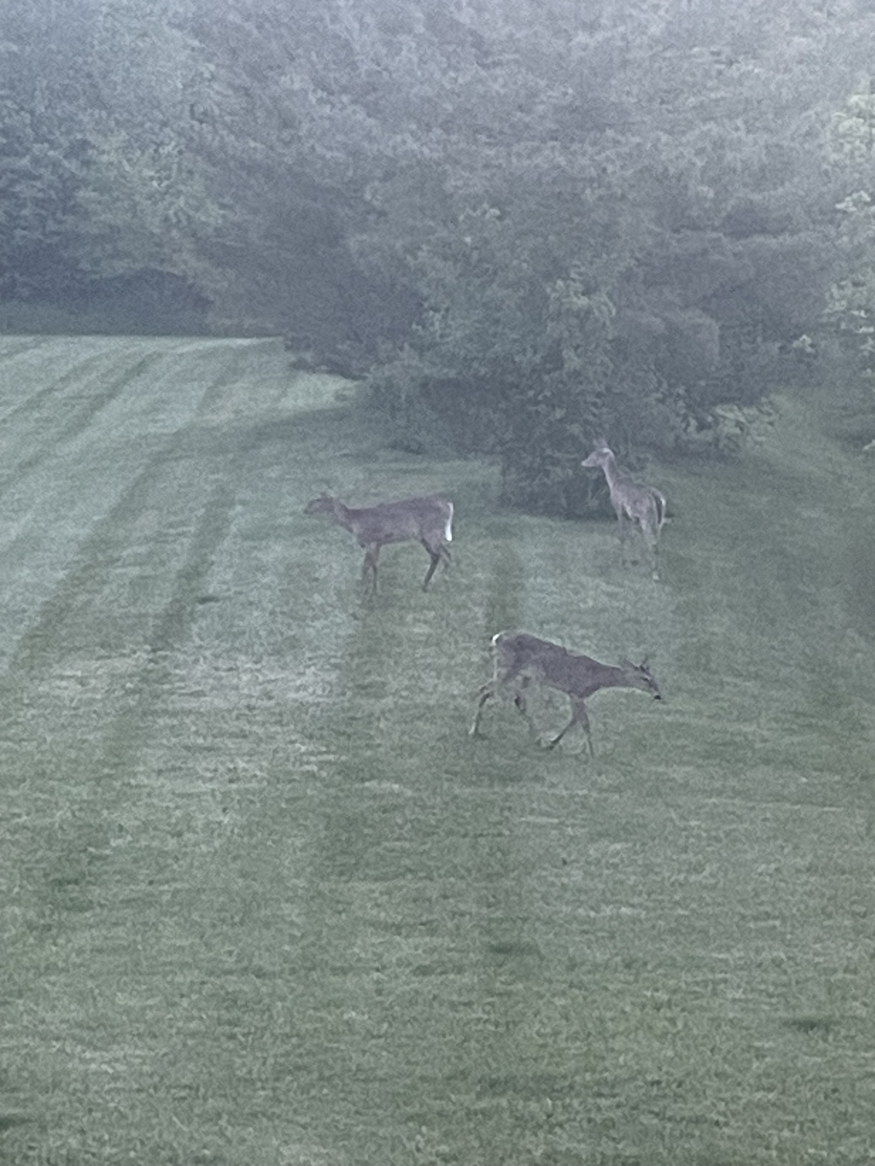 1148 Ascalon Court Indianapolis, IN 46239 - Photo 41 of 41