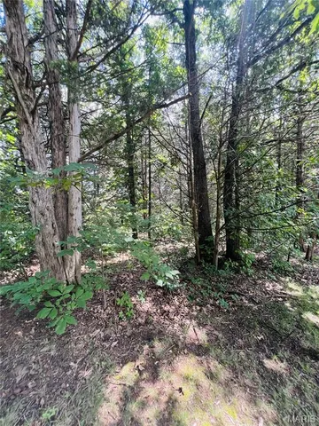 $125,000 | 22733 Lick Creek Estates, Perry, MO 63462