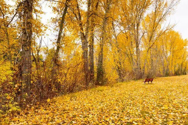 $475,000 | 1071 Atelier Condo Drive, Sun Valley, ID 83353