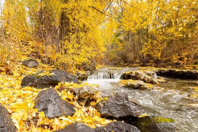 $475,000 | 1071 Atelier Condo Drive, Sun Valley, ID 83353