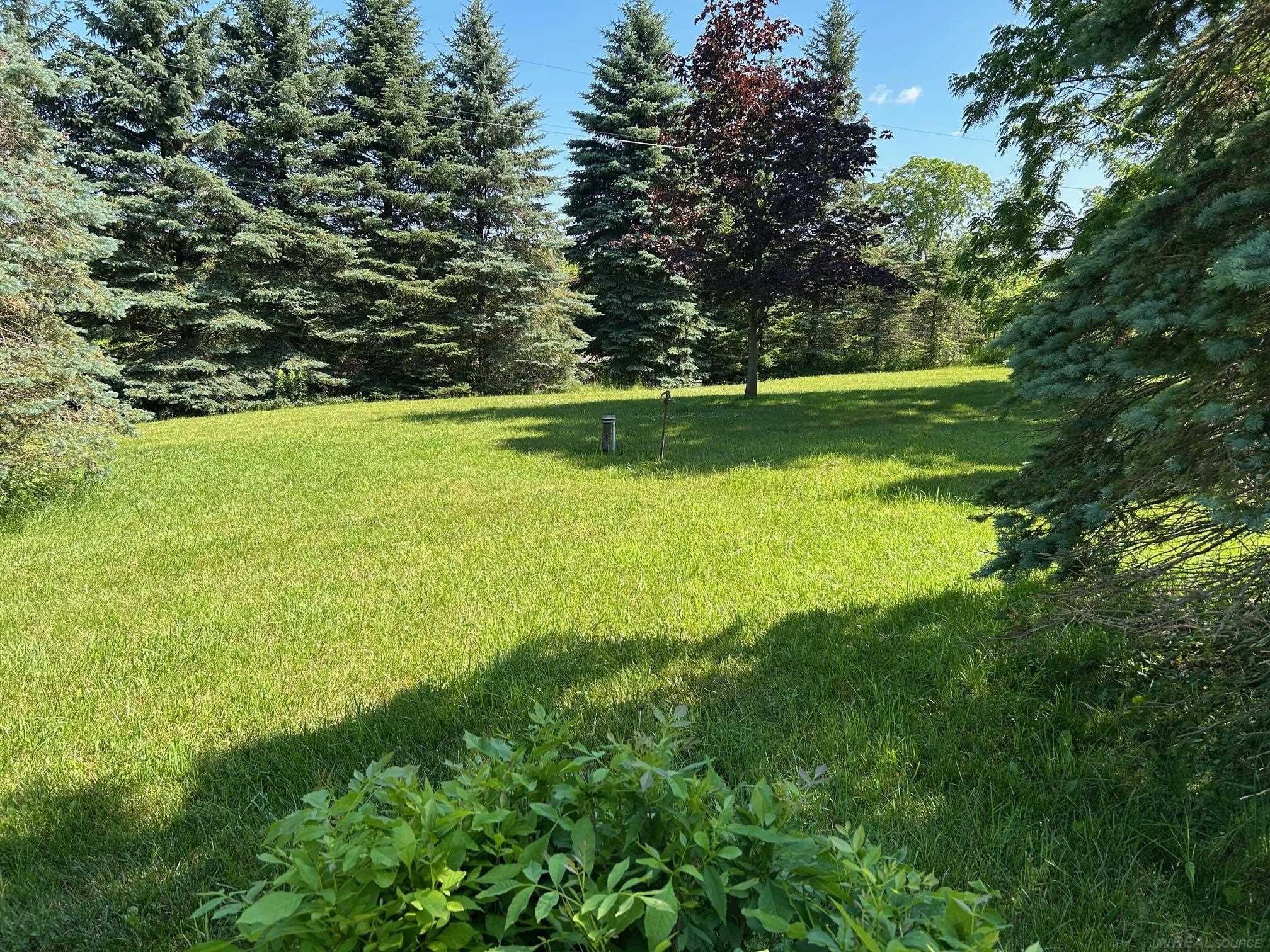 4550 Snover Road Carsonville, MI 48419 - Photo 6 of 7