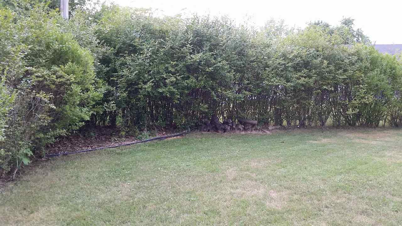 348 North Park Lane Butler, IN 46721 - Photo 5 of 27 Gallery Image 5