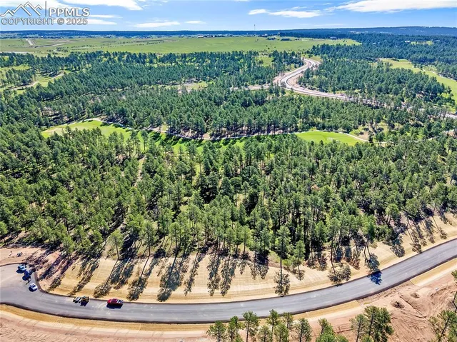 a view of a garden with an outdoor space