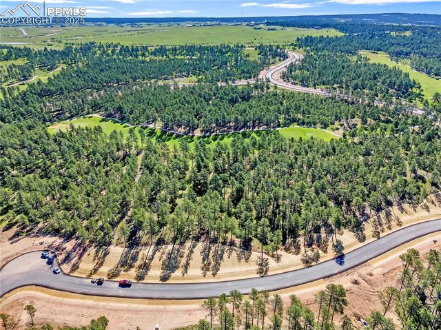 a view of a garden from a window