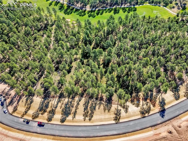 a view of a garden from a window
