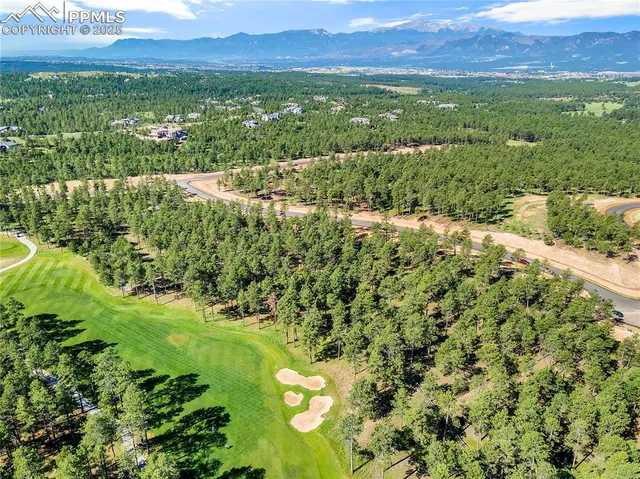 a view of a lush green outdoor space with a lake view