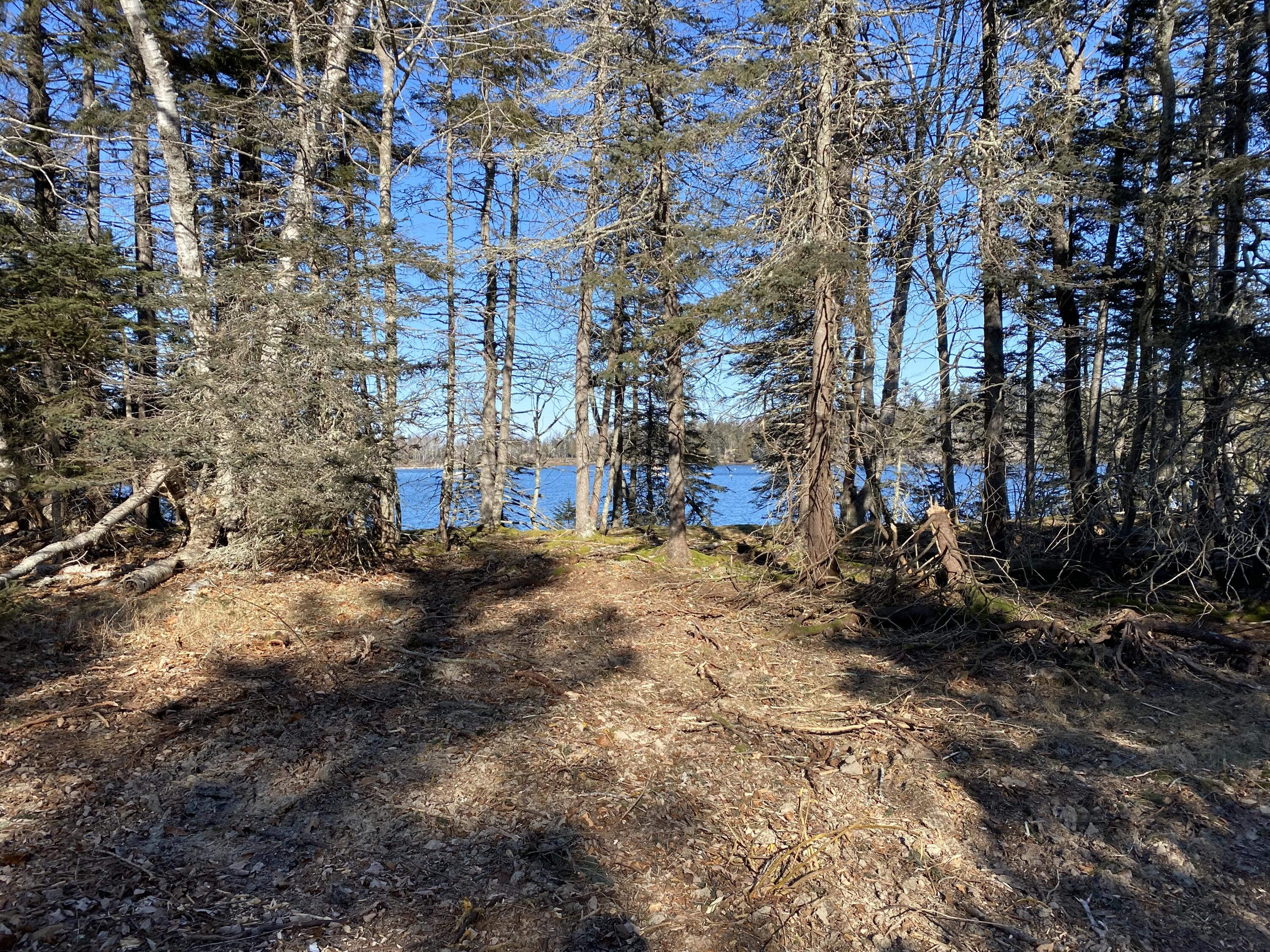 0 West Bay Road Islesboro, ME 04848 - Photo 53 of 60 IMG_4404
