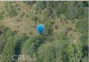 a view of a trees in a forest