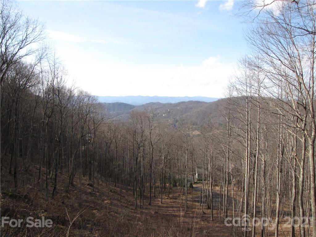 99 Howland Road, Unit 24 Asheville, NC 28804 - Photo 1 of 19 Gallery Image 1