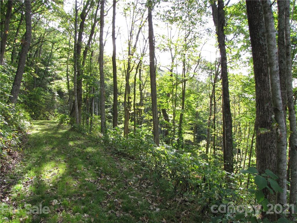 99 Howland Road, Unit 24 Asheville, NC 28804 - Photo 11 of 19 Gallery Image 11