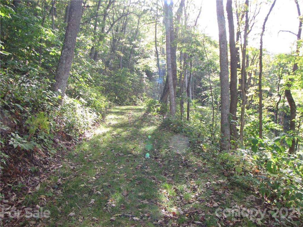 99 Howland Road, Unit 24 Asheville, NC 28804 - Photo 12 of 19 Gallery Image 12