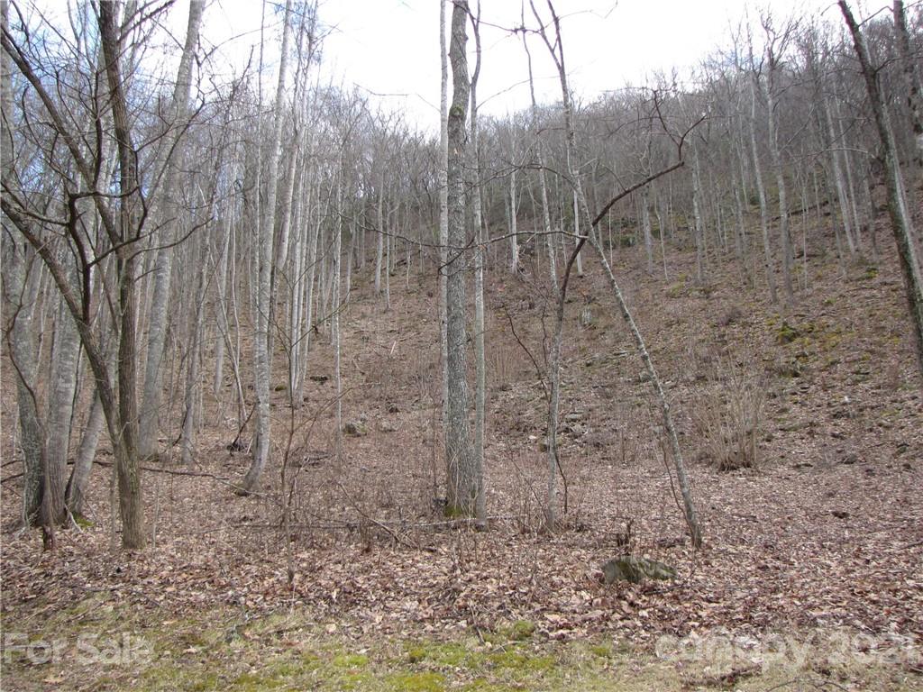 99 Howland Road, Unit 24 Asheville, NC 28804 - Photo 13 of 19 Gallery Image 13