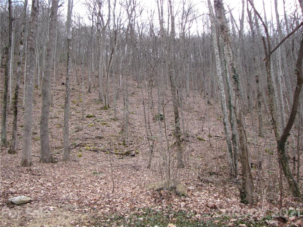 99 Howland Road, Unit 24 Asheville, NC 28804 - Photo 14 of 19 Gallery Image 14