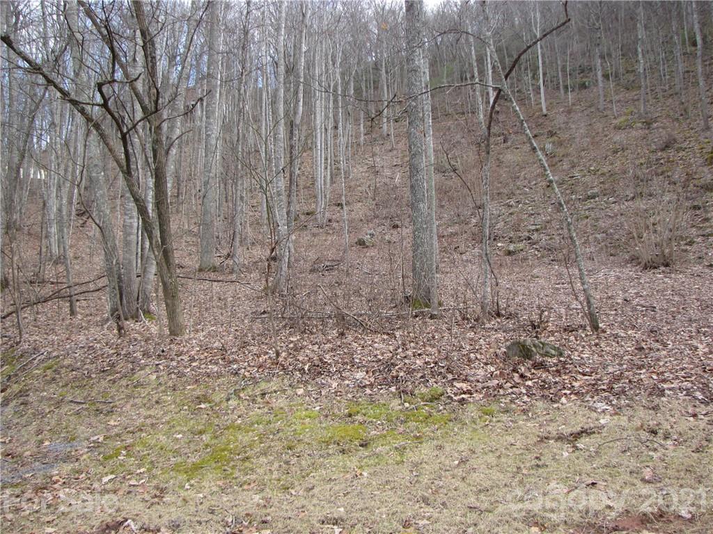 99 Howland Road, Unit 24 Asheville, NC 28804 - Photo 15 of 19 Gallery Image 15