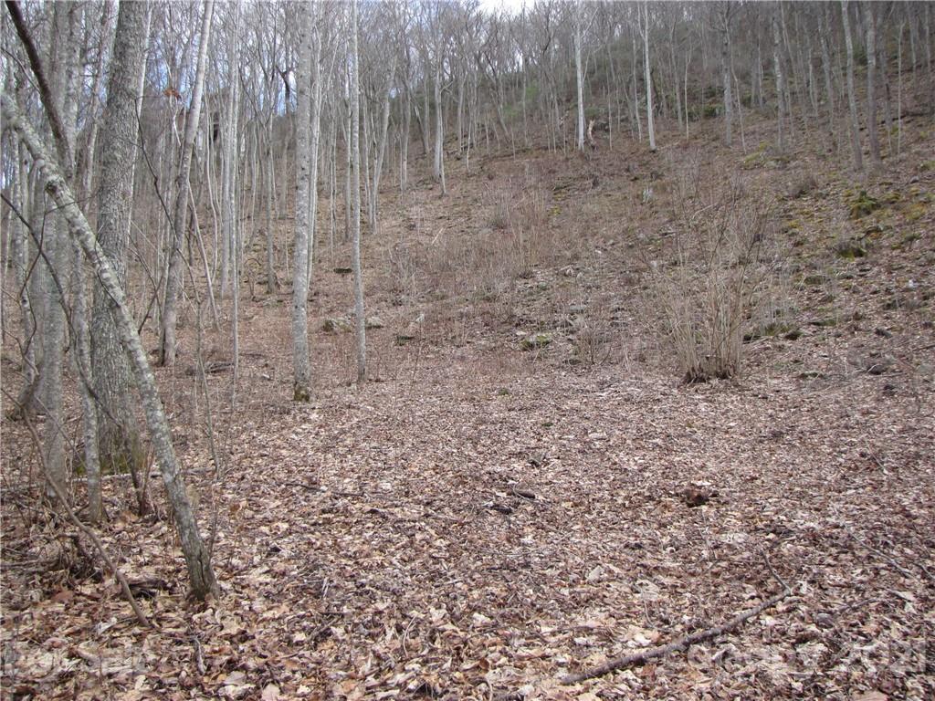 99 Howland Road, Unit 24 Asheville, NC 28804 - Photo 16 of 19 Gallery Image 16