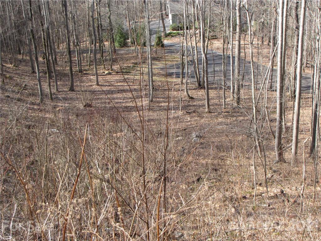 99 Howland Road, Unit 24 Asheville, NC 28804 - Photo 17 of 19 Gallery Image 17