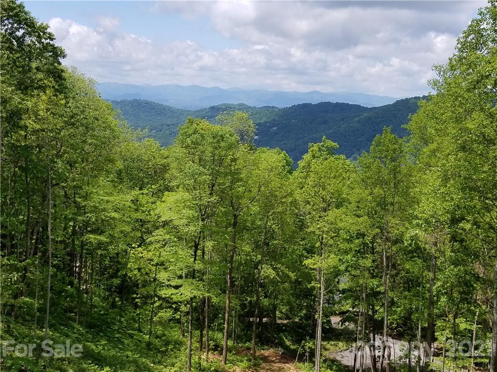 99 Howland Road, Unit 24 Asheville, NC 28804 - Photo 3 of 19 Gallery Image 3
