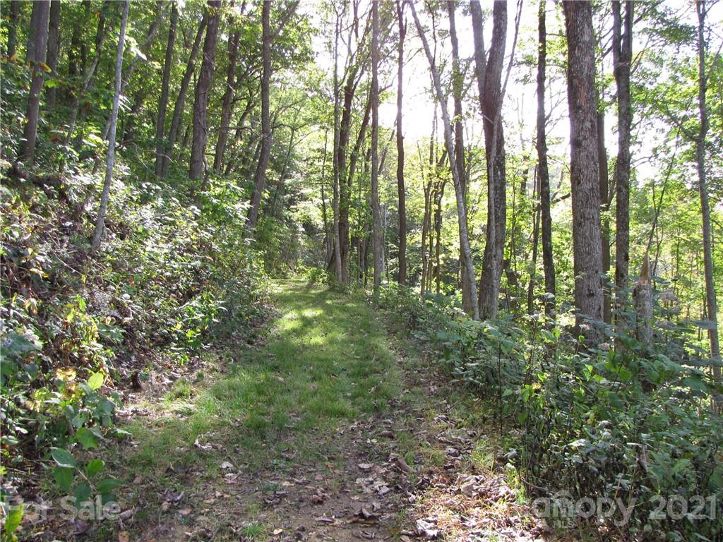 99 Howland Road, Unit 24 Asheville, NC 28804 - Photo 5 of 19 Gallery Image 5