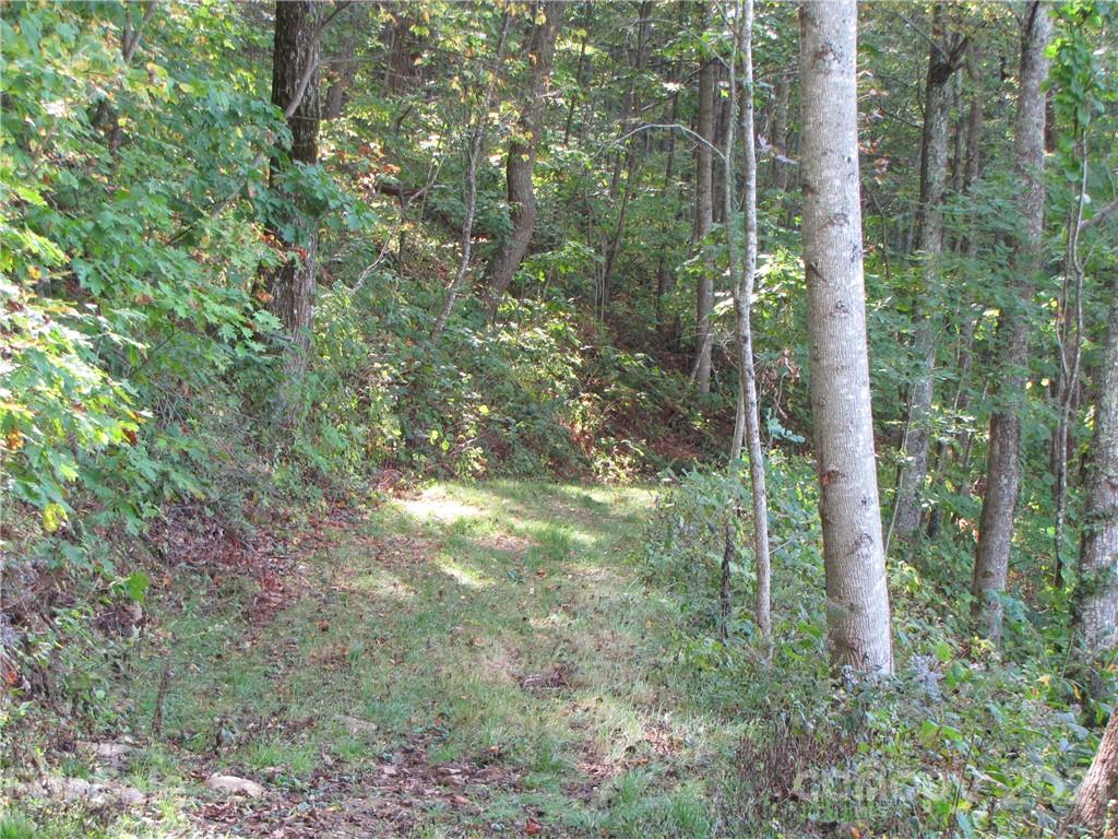 99 Howland Road, Unit 24 Asheville, NC 28804 - Photo 6 of 19 Gallery Image 6