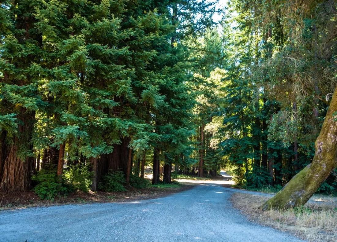 9000 Lompico Road Felton, CA 95018 - Photo 12 of 28 a view of a park