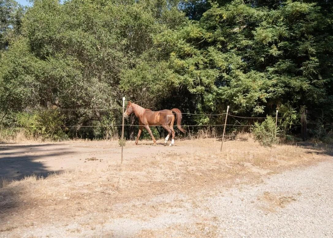 9000 Lompico Road Felton, CA 95018 - Photo 19 of 28 a view of an outdoor space and yard