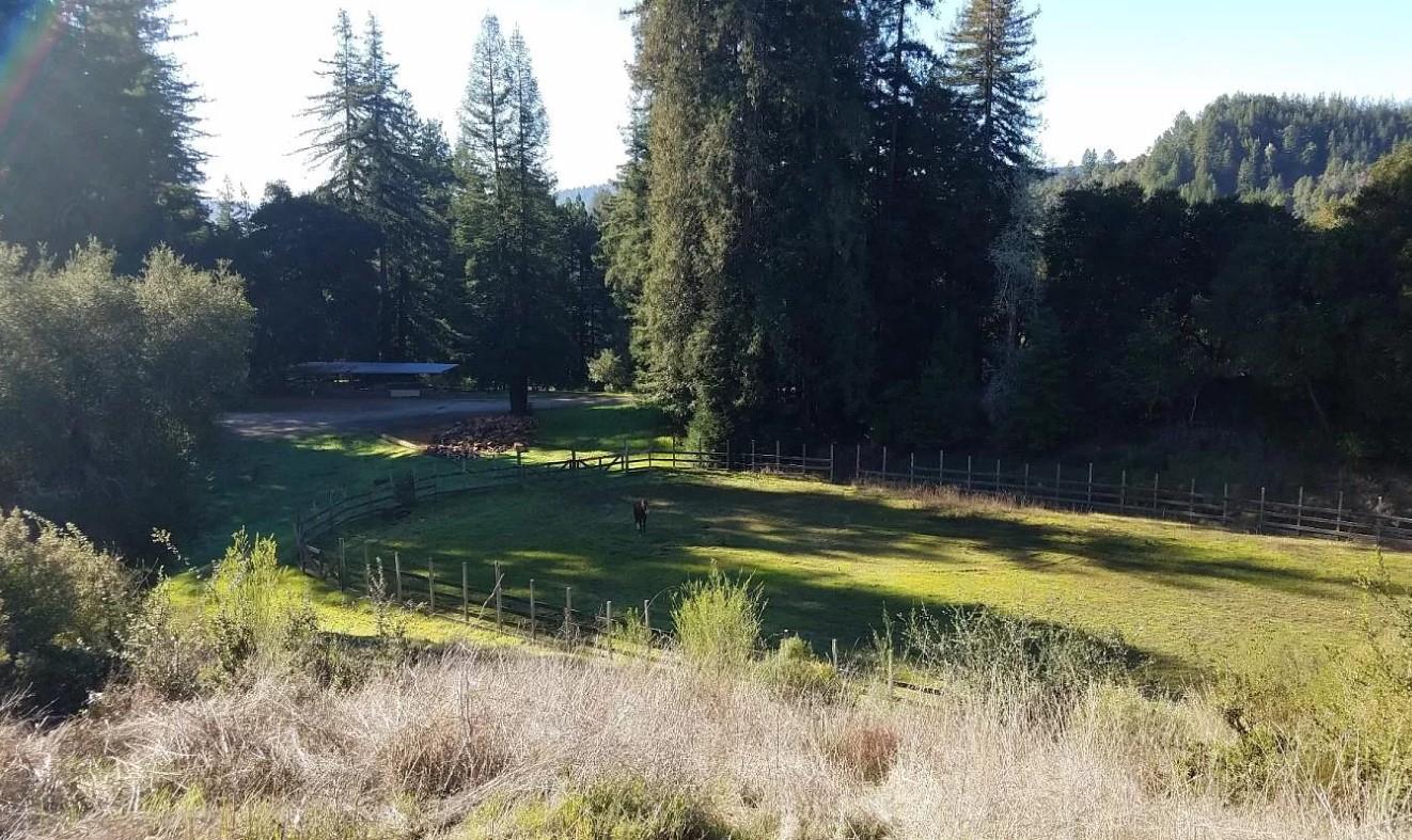 9000 Lompico Road Felton, CA 95018 - Photo 22 of 28 a view of swimming pool with a yard