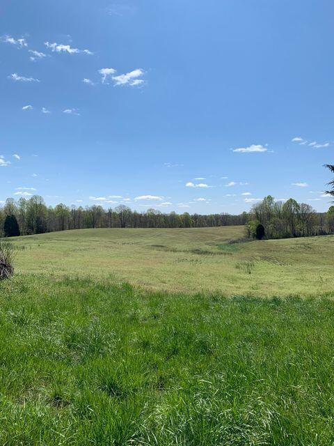 4225 Hickory Nut Road Nancy, KY 42544 - Photo 6 of 10 20200414182010607406000000-o
