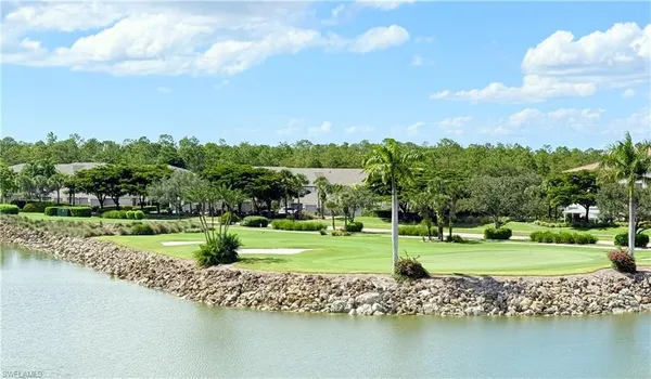 a view of a park with large trees