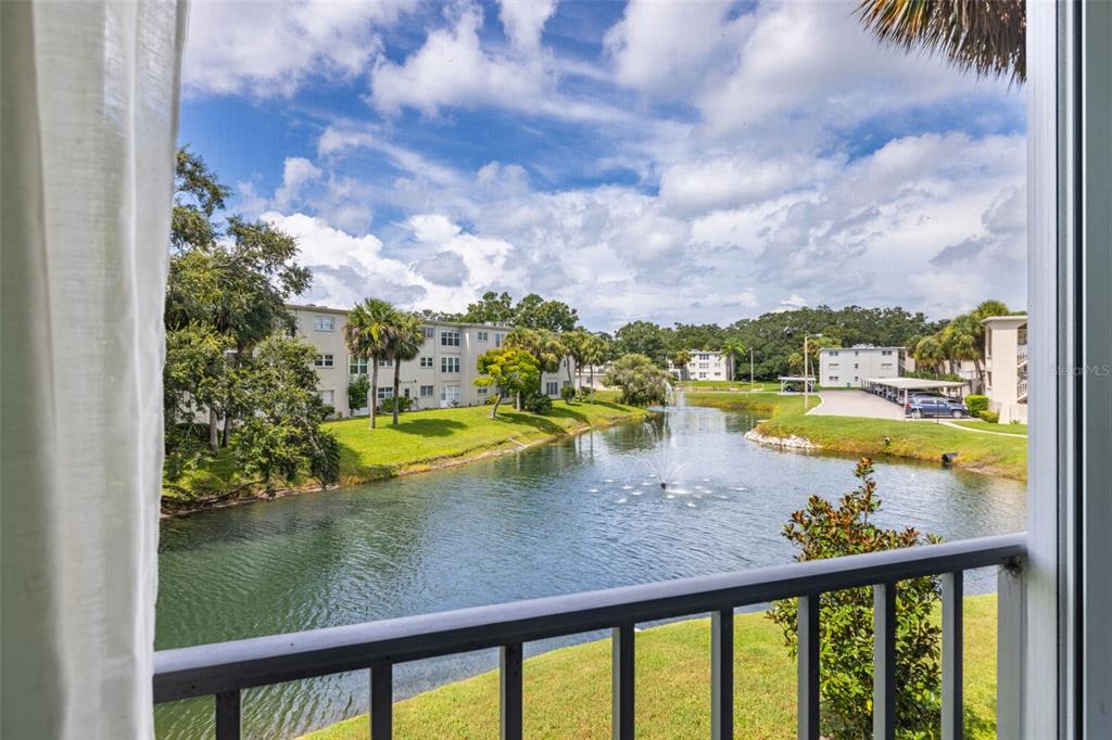 946 Virginia Street, Unit 207 Dunedin, FL 34698 - Photo 20 of 41