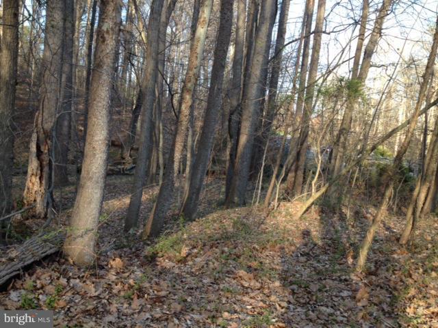 2115 Norbeck Road Silver Spring, MD 20906 - Photo 2 of 6 View from lot to road