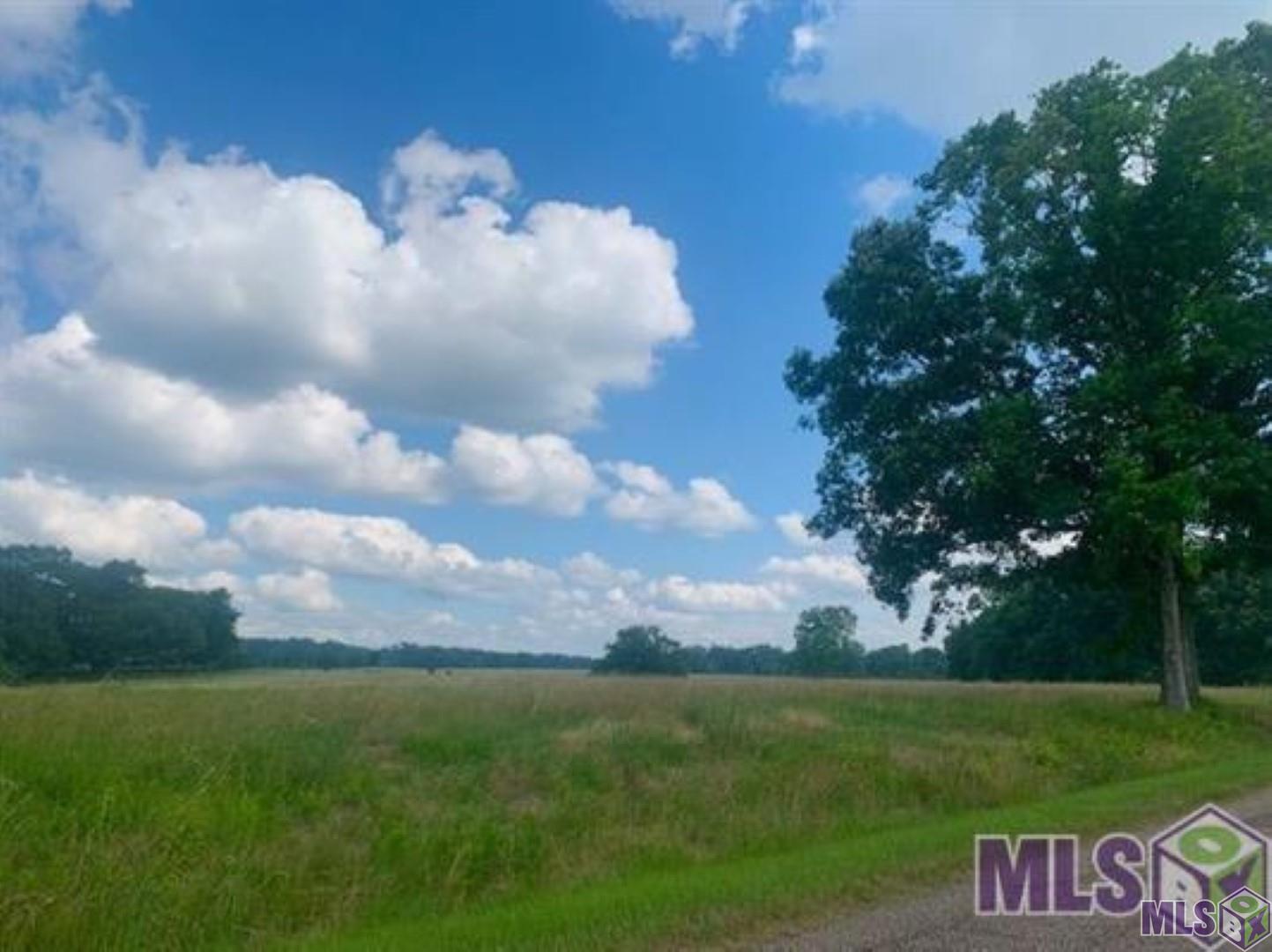 80107 Rosemary Ln Street St. Francisville, LA 70775 - Photo 10 of 10 Gallery Image 10