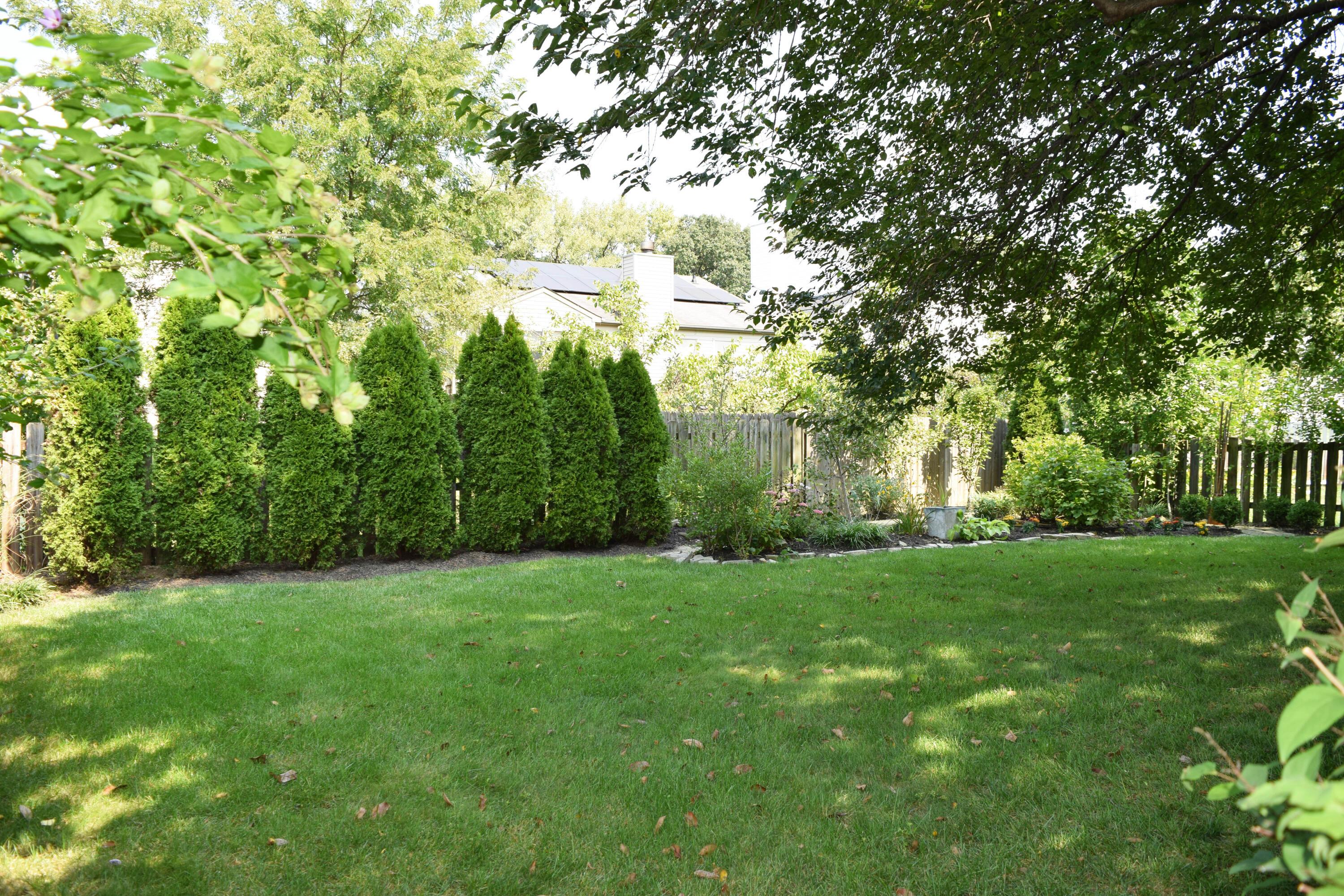 312 Holly Grove Road Lewis Center, OH 43035 - Photo 27 of 32 25-BackYard