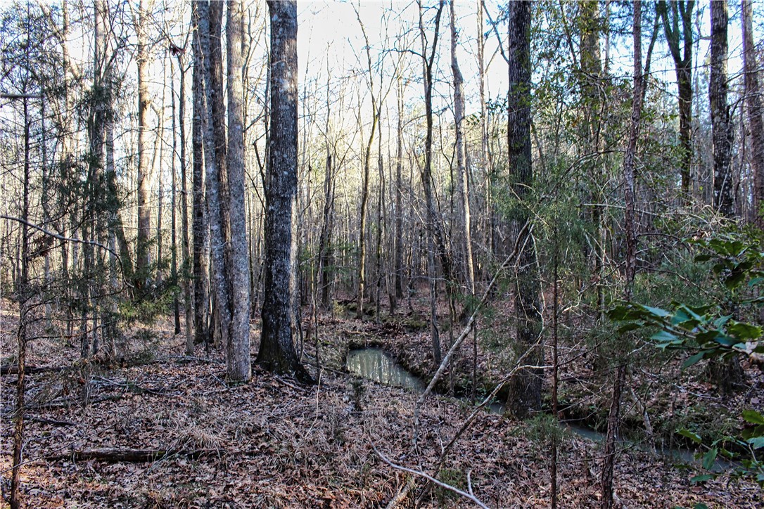 0 Rushville Road Bradley, SC 29819 - Photo 11 of 28