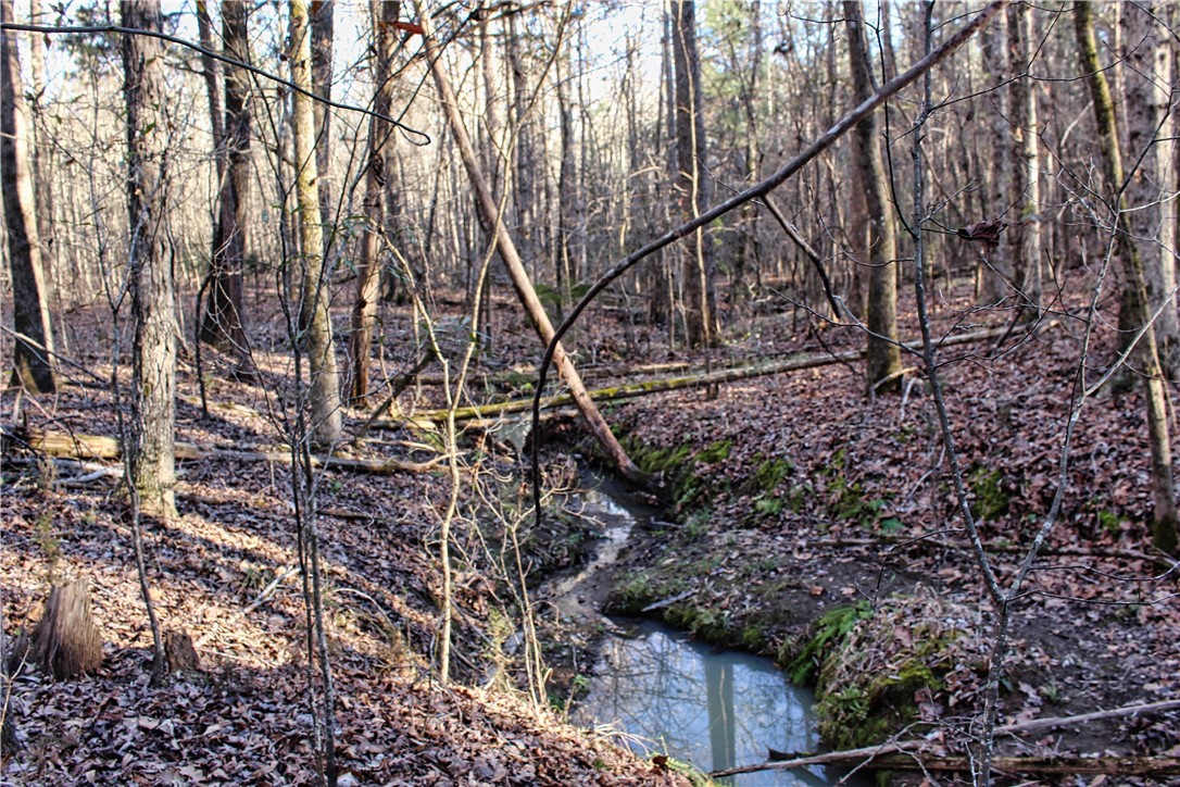 0 Rushville Road Bradley, SC 29819 - Photo 13 of 28