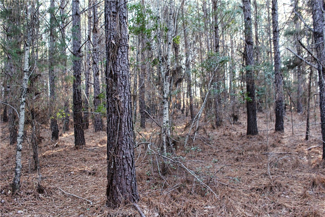0 Rushville Road Bradley, SC 29819 - Photo 15 of 28