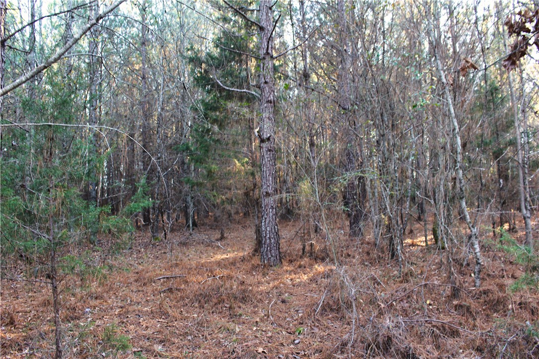0 Rushville Road Bradley, SC 29819 - Photo 16 of 28