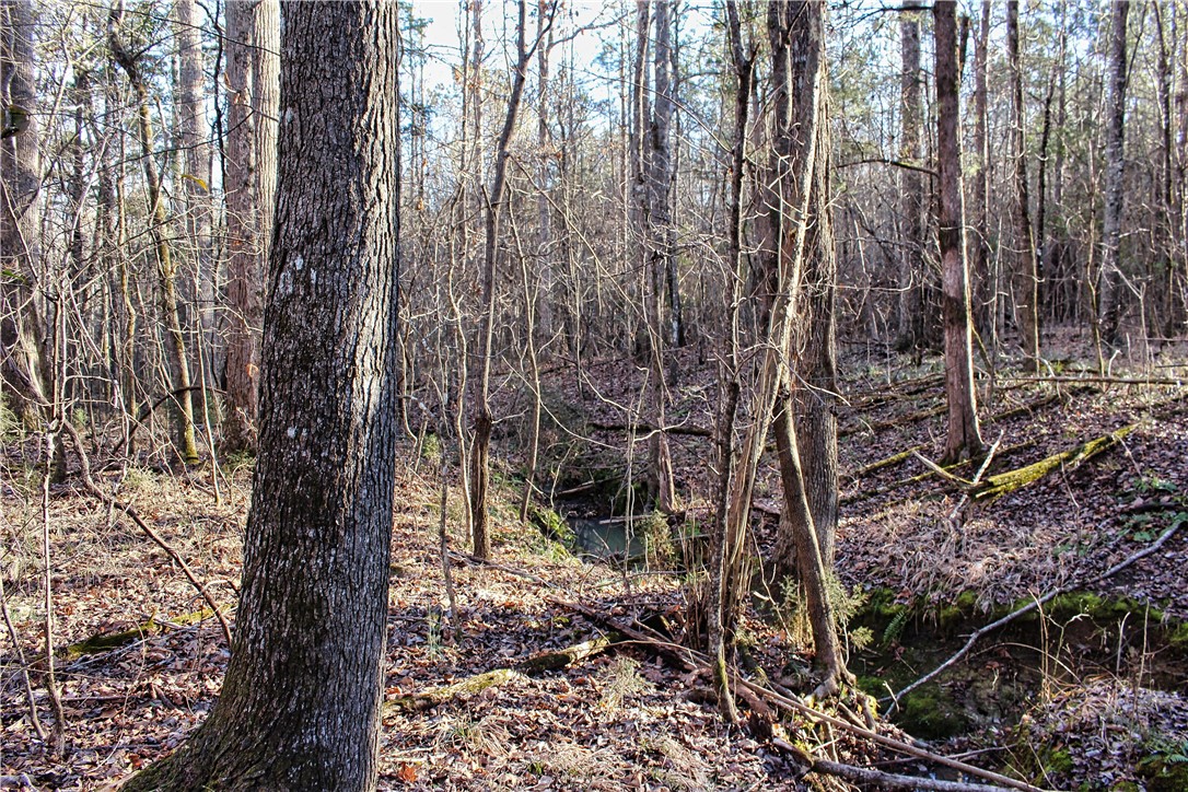 0 Rushville Road Bradley, SC 29819 - Photo 17 of 28
