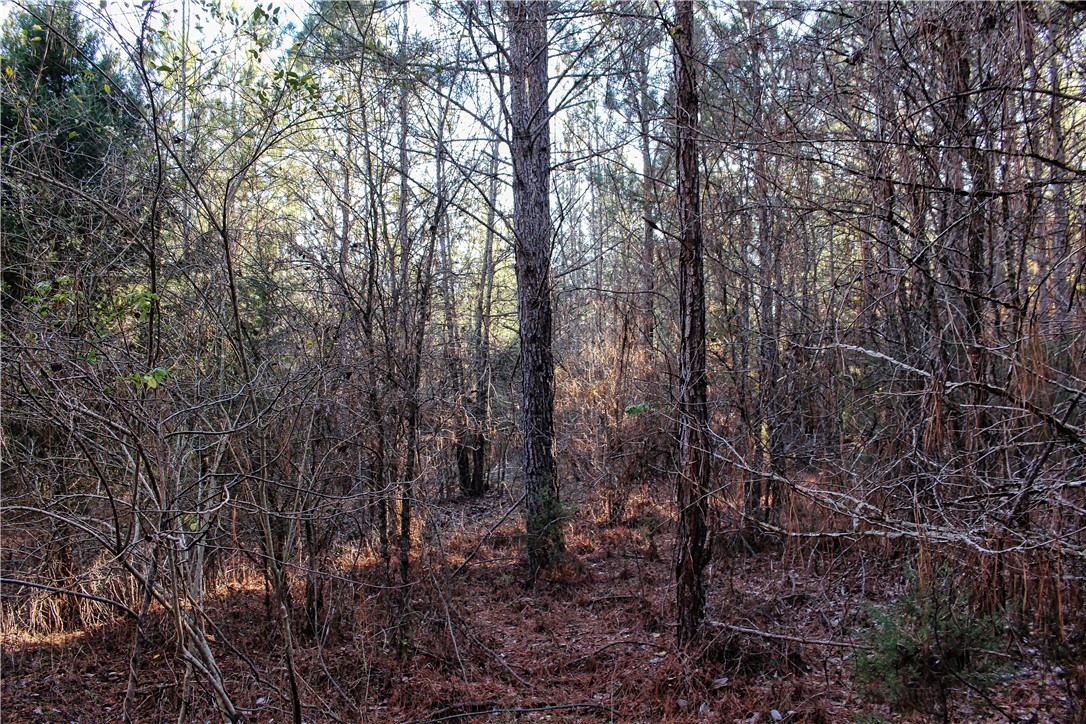 0 Rushville Road Bradley, SC 29819 - Photo 18 of 28