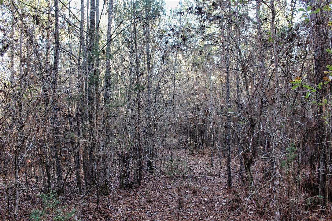 0 Rushville Road Bradley, SC 29819 - Photo 19 of 28