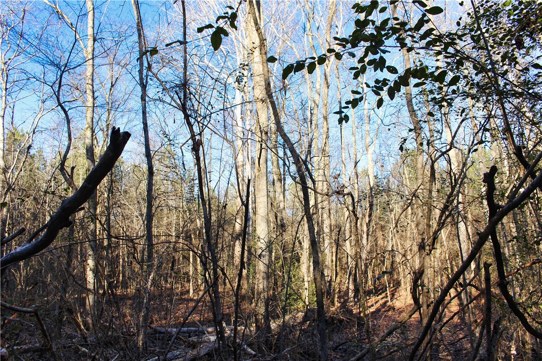 0 Rushville Road Bradley, SC 29819 - Photo 20 of 28