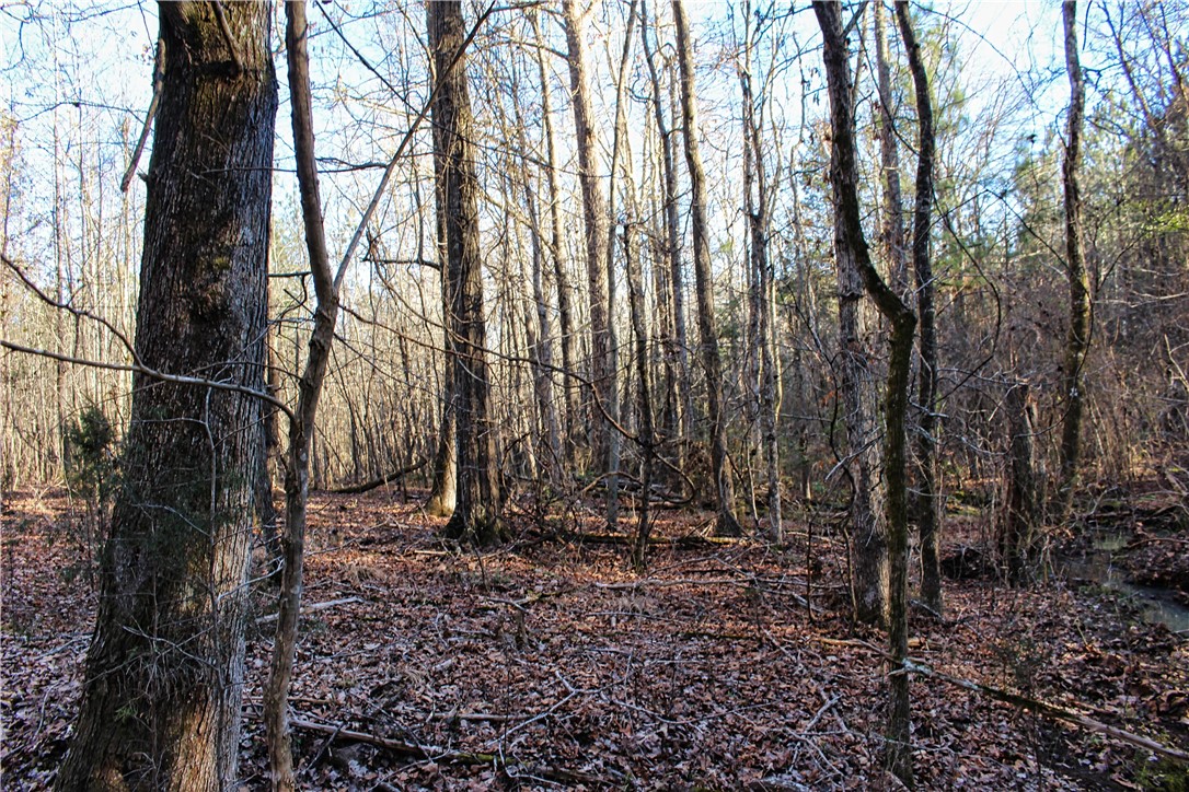 0 Rushville Road Bradley, SC 29819 - Photo 22 of 28