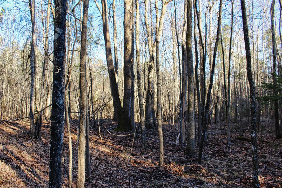 0 Rushville Road Bradley, SC 29819 - Photo 23 of 28