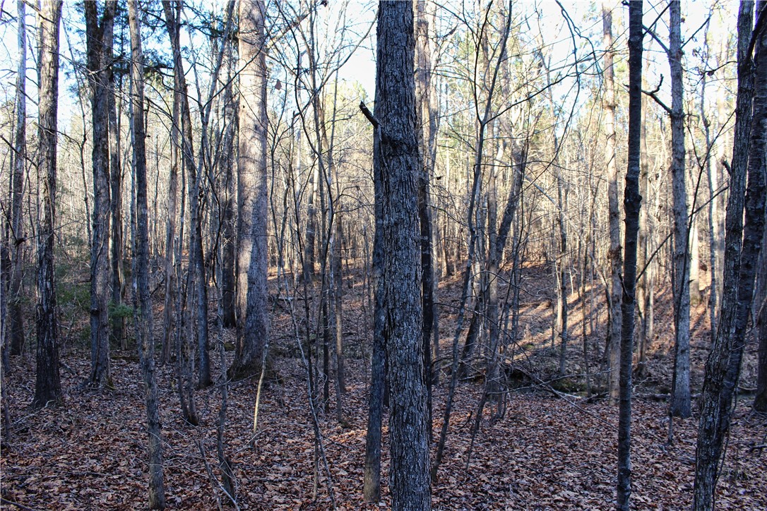 0 Rushville Road Bradley, SC 29819 - Photo 24 of 28