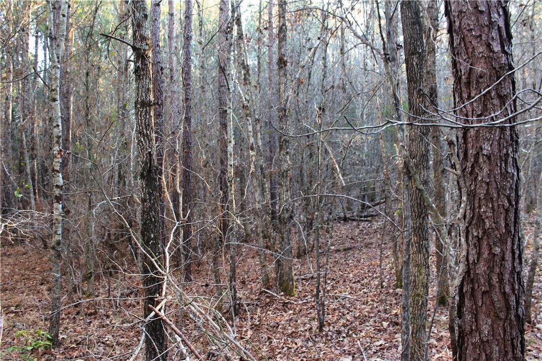 0 Rushville Road Bradley, SC 29819 - Photo 25 of 28