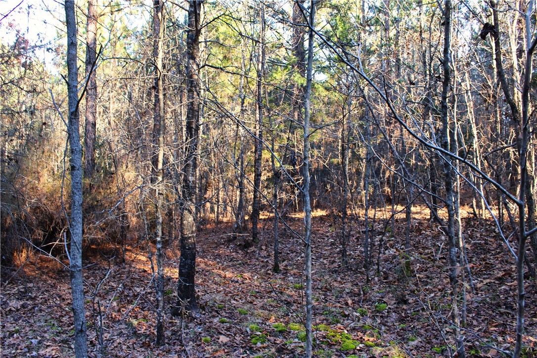 0 Rushville Road Bradley, SC 29819 - Photo 26 of 28