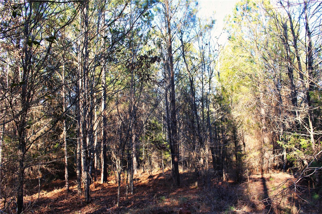 0 Rushville Road Bradley, SC 29819 - Photo 27 of 28