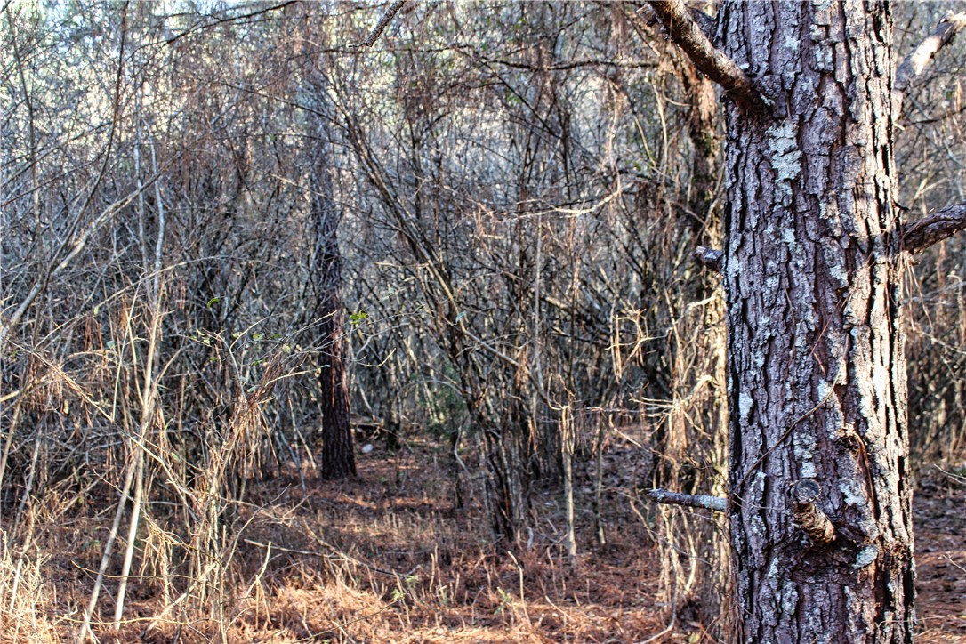 0 Rushville Road Bradley, SC 29819 - Photo 28 of 28