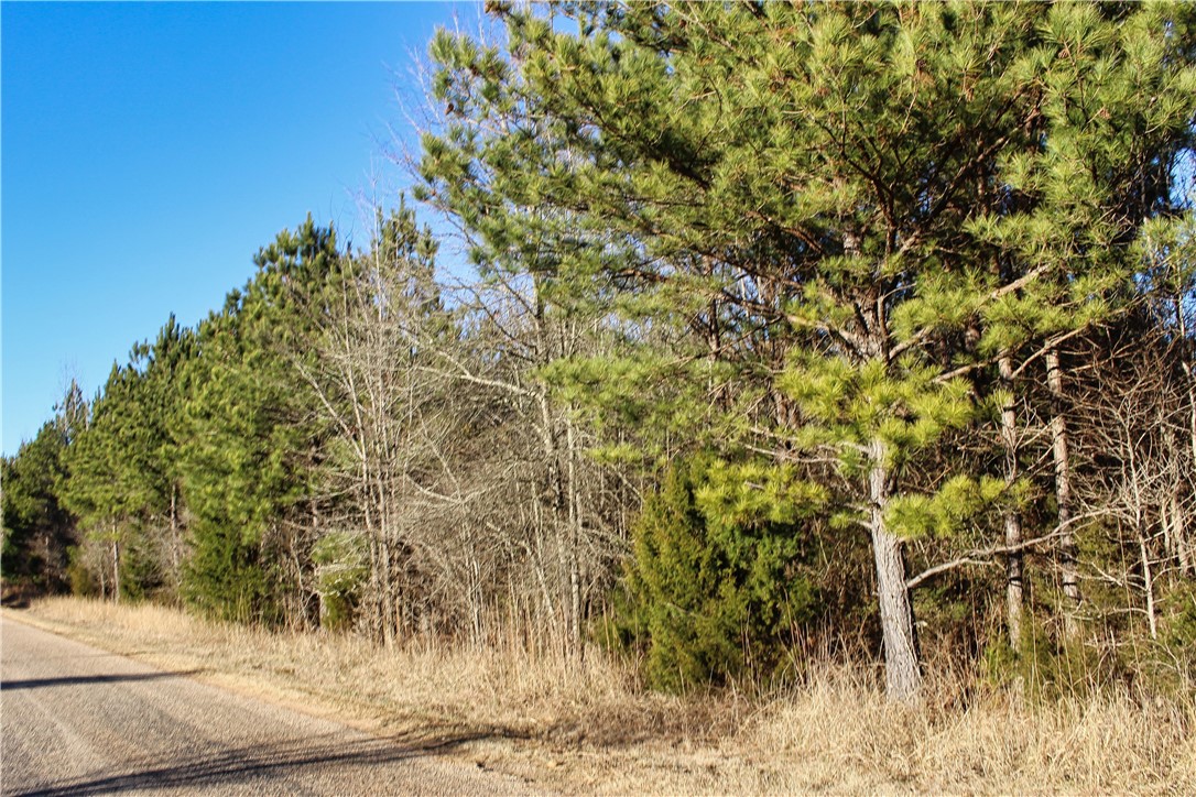 0 Rushville Road Bradley, SC 29819 - Photo 5 of 28